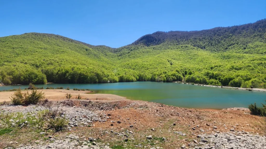 Quiet lake views near Fushë Studën